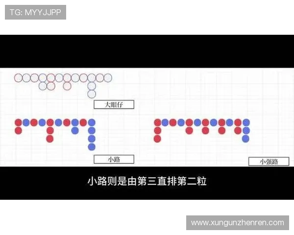 百家乐路单记录器的设计原理与开发趋势，未来发展展望